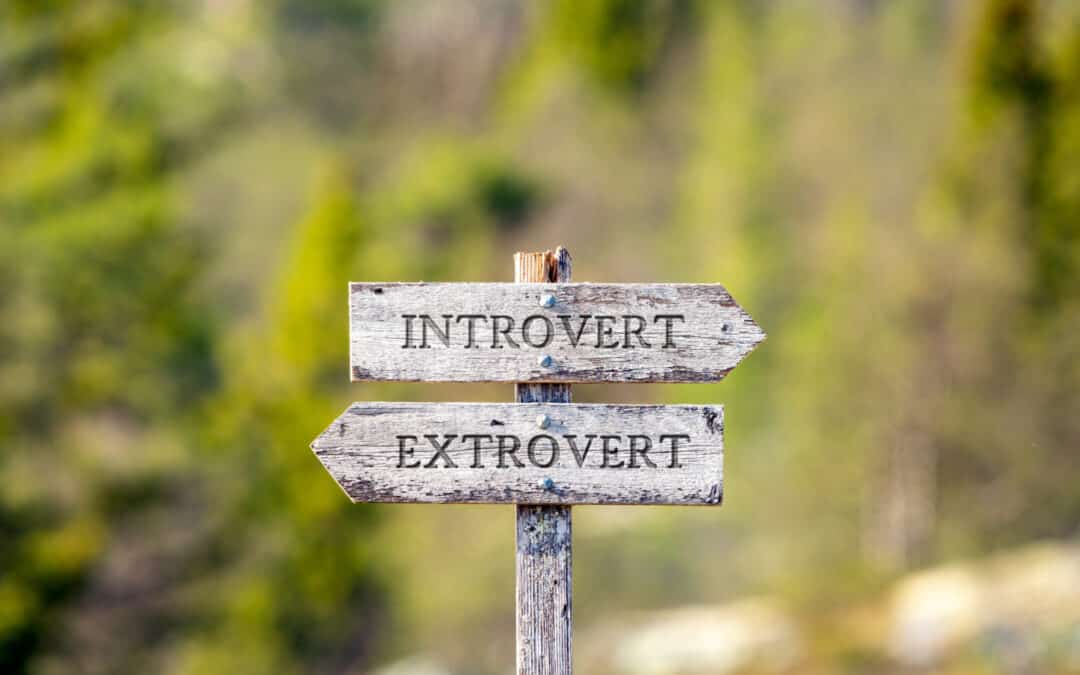 Introverts As Franchisees: Why They Succeed