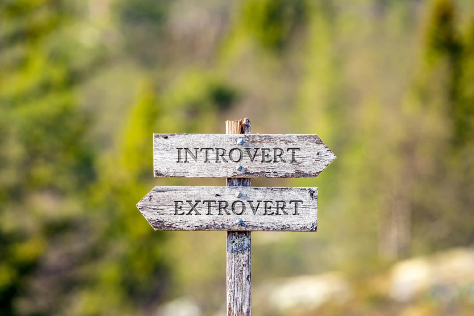 Introverts As Franchisees: Why They Succeed